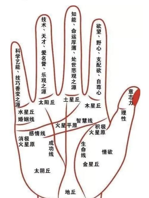 从手相看你的整体运程