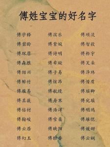 付姓宝宝取名大全