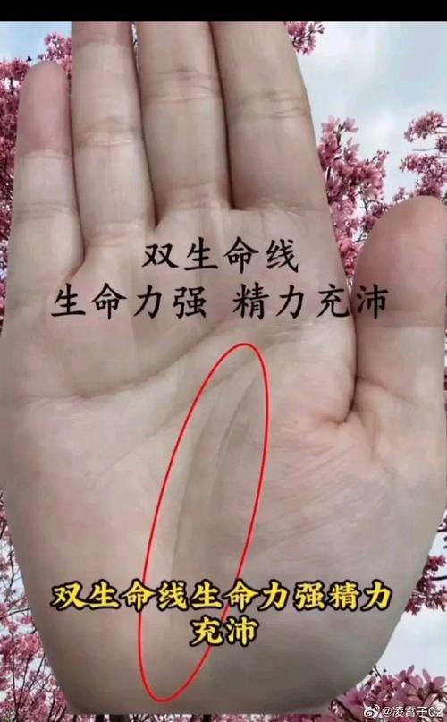 生命线为两条平行线