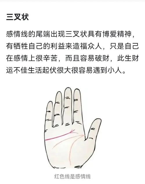从感情线看可靠的男人手相