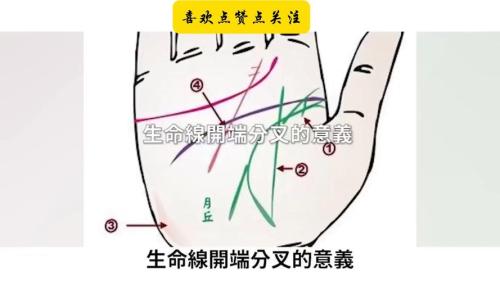 生命线上有分叉代表什么