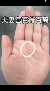 男人必定离婚的手相