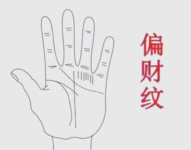 什么是财运线