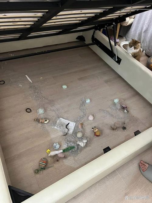 家里床下不能放什么