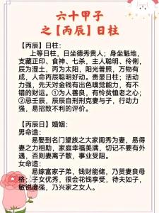 丙辰日柱婚配 己巳壬午日柱