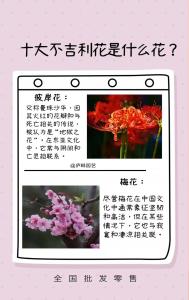 十种不吉利的花