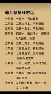 养鱼风水数量和财运的关系