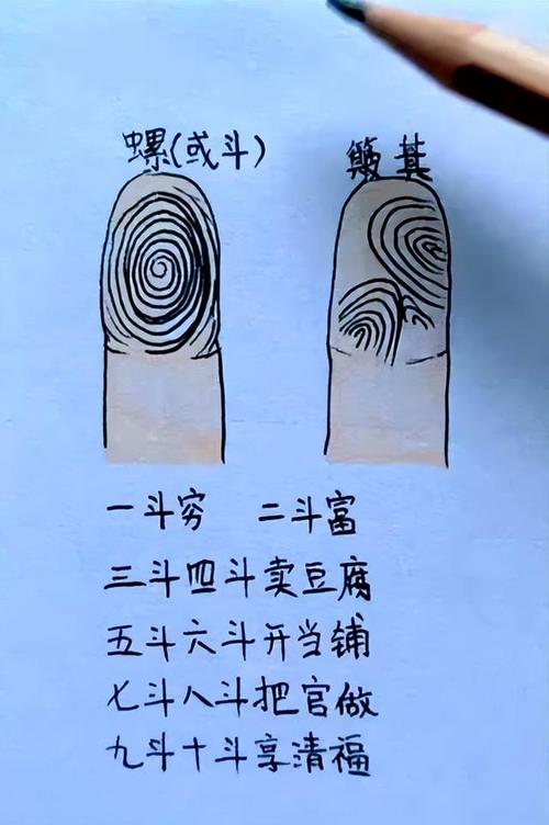什么样的手指斗名利双收大富大贵