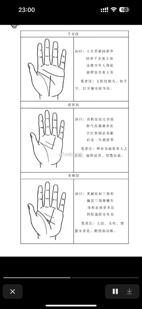 手长怎么才是富贵命,怎样手相的人是富贵命