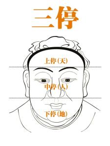 由面相三停看人的运势与性格