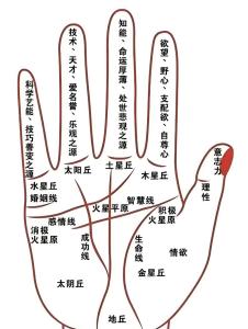 手掌生命线的粗细代表什么