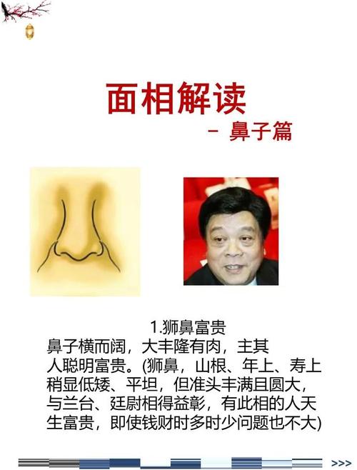 山根和鼻梁成直角的人会发横财么