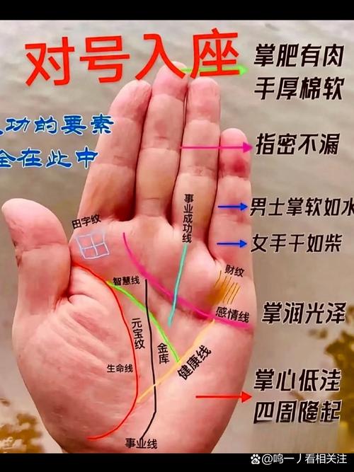 手面相看你能否中大奖