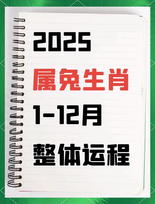 属兔2025年运势及运程每月运程 2025属兔全年完整运气