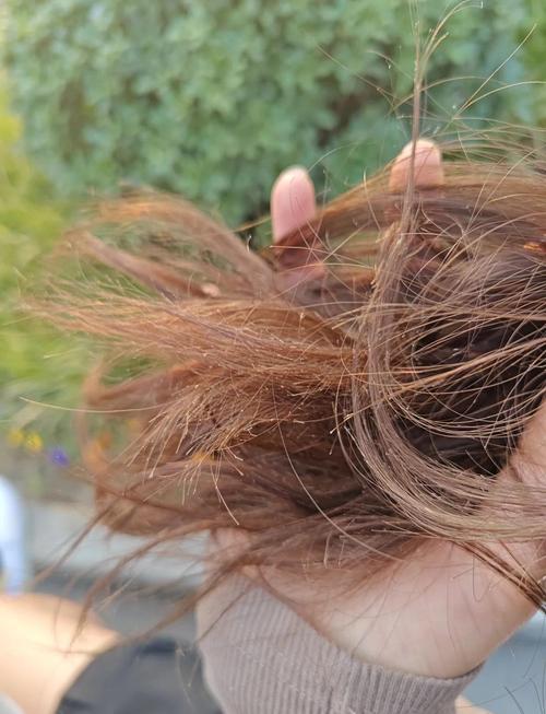 女人头发干燥枯黄影响运势吗