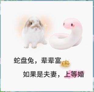 男兔女蛇不是蛇盘兔吧 男兔女蛇婚配都是断头婚吗
