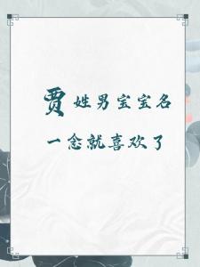 有寓意的贾姓男孩名字
