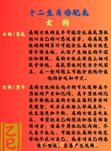 属狗的和什么属相在一起是断头婚真相
