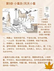 小畜卦测感情复合 风天小畜问有没有缘分