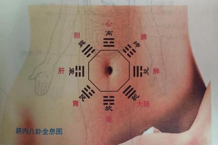 肚脐看你一生运势吉凶