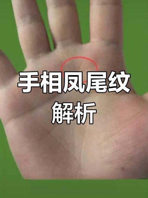 感情线分三叉嫁贵夫