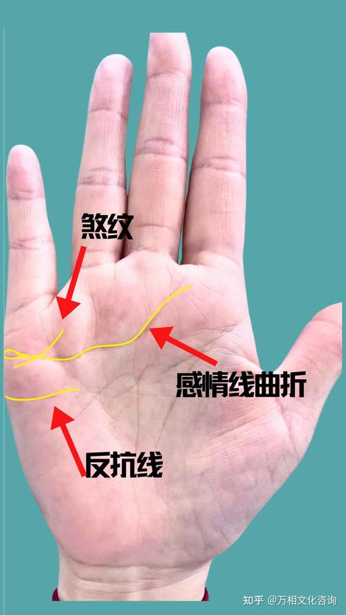 在线测手相免费 穷人手相的特点