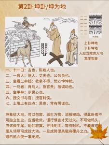 坤卦体质是指哪些人，及其相应的养生法