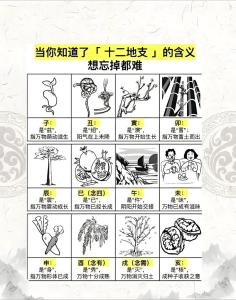 充满神奇含义与力量的十二地支代表什么