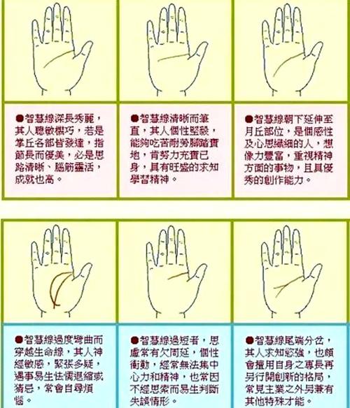 智慧线前面深后面浅 是何寓意