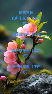 八字没有桃花星 桃花凋零感情遇阻碍