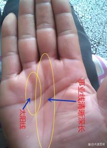 官运手相的几个标志 事业线直达中指根部