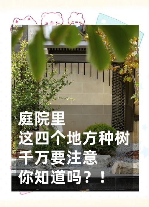 不可忽视的庭院植物四大风水禁忌