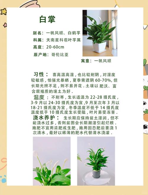 详解：客厅养花风水功效介绍