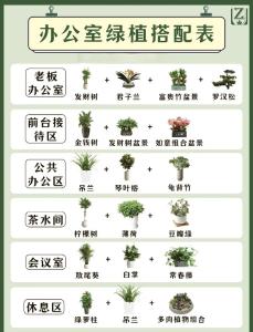 详解：办公室摆放绿色植物的位置与风水