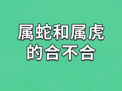 爸爸妈妈都属蛇孩子属虎好不好 蛇虎相处不和谐