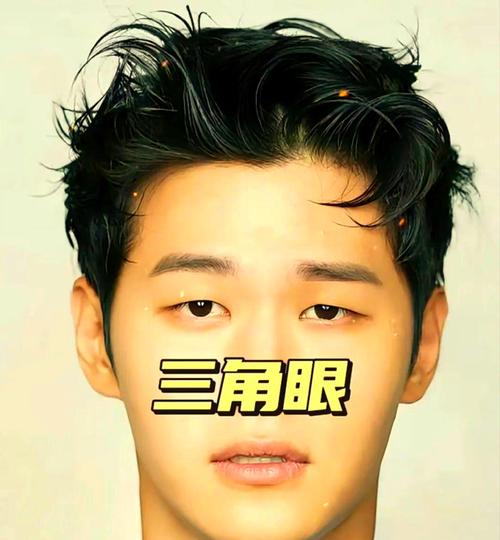 三角眼男人面相分析 三角眼命运好吗