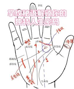 生命线长短怎么看，生命线长短含义