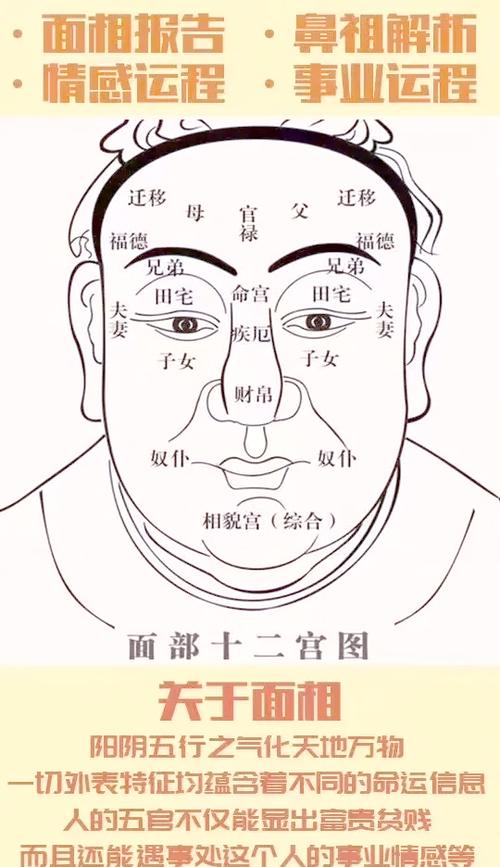 日本面相分析学：额头面相分析面相分析