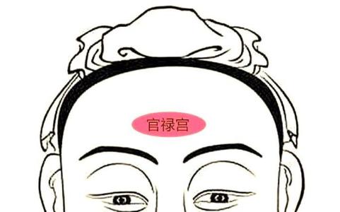 什么是官禄宫