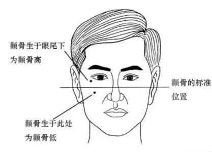 六种颧骨高的面相分析解析颧骨高的男人命运