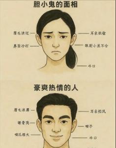 善于察言观色的人是什么面相