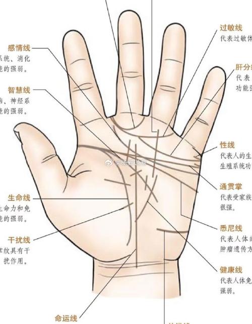 手相五条线解析他的运势走向
