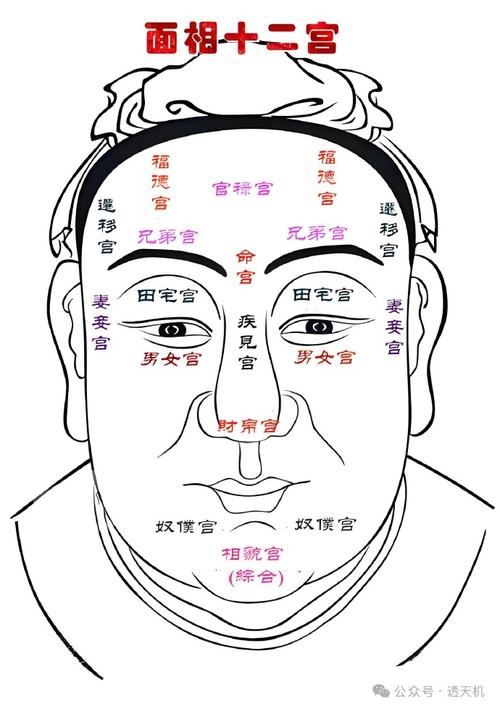 八字解析：官禄宫看另一半是怎样的