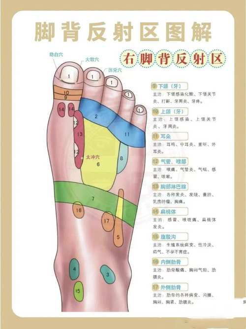 脚背不同位置的痣图解