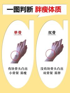 人的骨肉比例与福禄有关吗