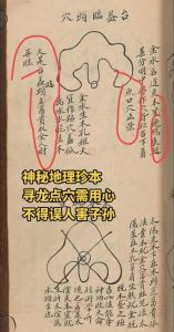 命理中的御夫十妙术