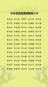好听大气的李姓男孩名字
