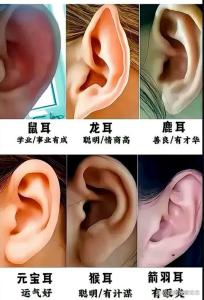 有福气的耳朵长啥样
