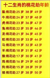 如何化解桃花劫 42岁狗桃花劫过了吗