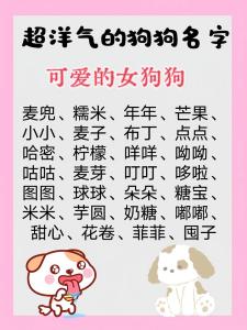 好听的狗宝宝女名
